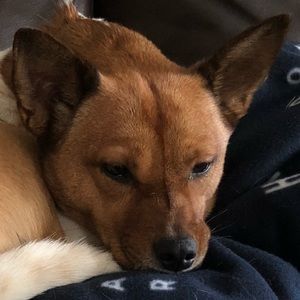 Meet your Posher, Joel